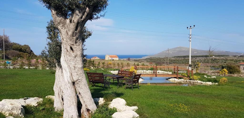 Adayel Bagevi & Butik Otel Bozcaada Exterior foto