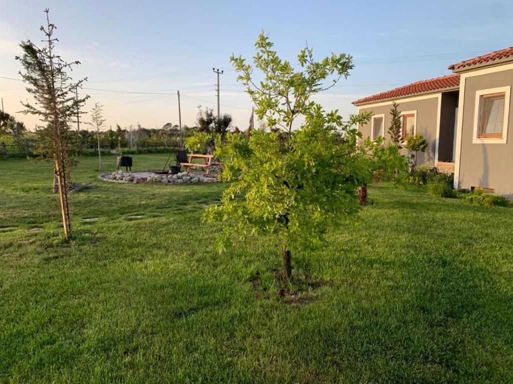 Adayel Bagevi & Butik Otel Bozcaada Exterior foto
